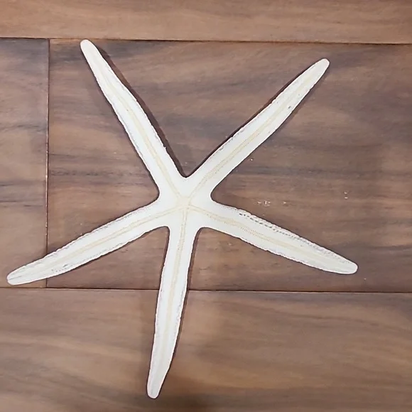 Star fish - Picture 2 of 3